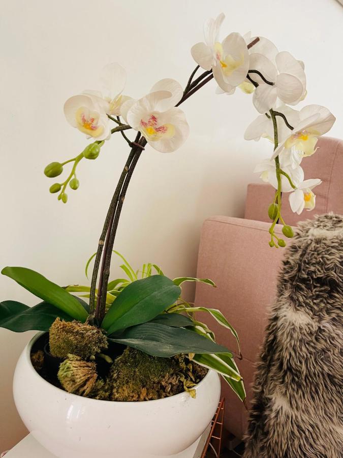 Apartmán Le Nid Douillet De Patricia Paříž Exteriér fotografie